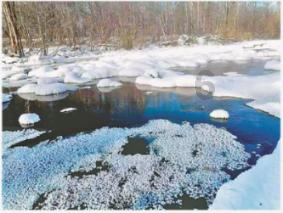 短道速滑冠军杨扬在国际上有多大的影响力？游戏画面