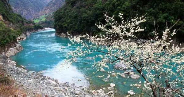 大唐无双