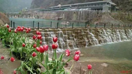 召唤神龙万宁版祖龙