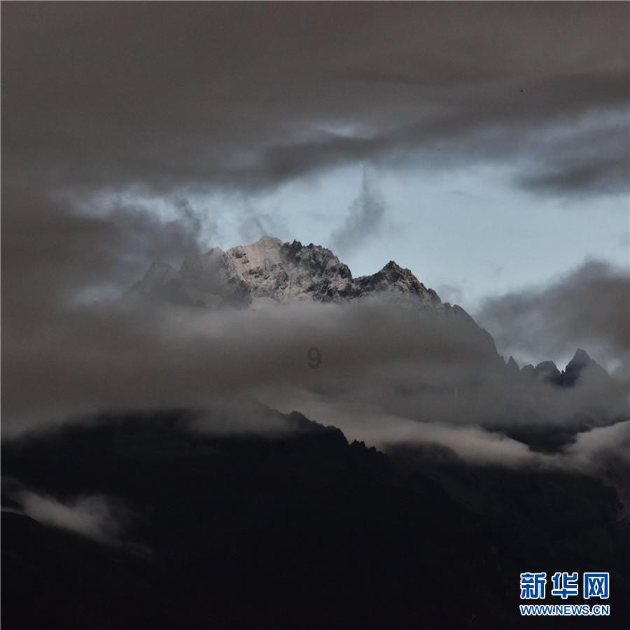 贪吃鼠吃豆豆