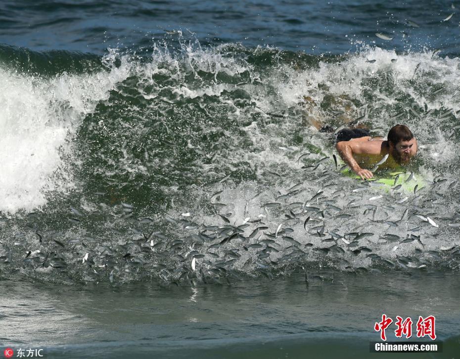 低碳环保当道,高明尚昂“环境友好型皮革”正流行!