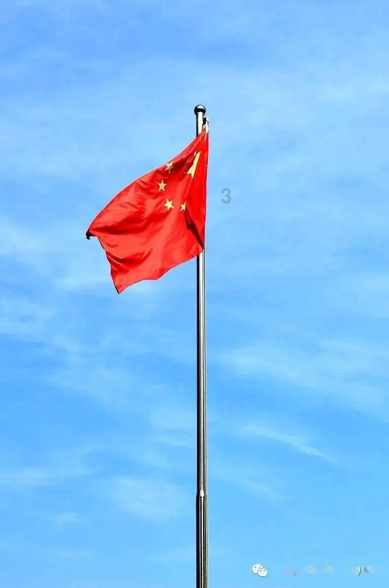 逗小猴开心系列197