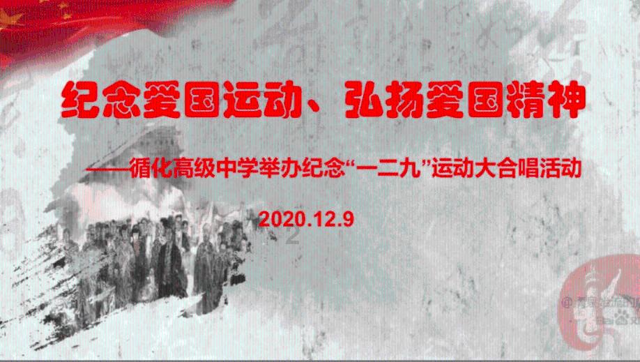 虫虫助手下载