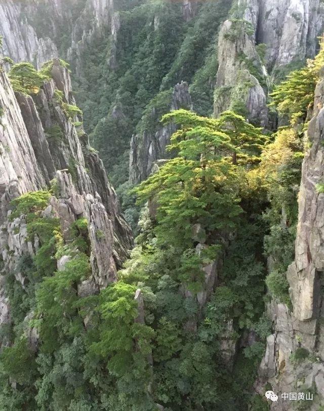 新年游优选场地!韩国综合性度假胜地迎仕柏度假城即将全面开放
