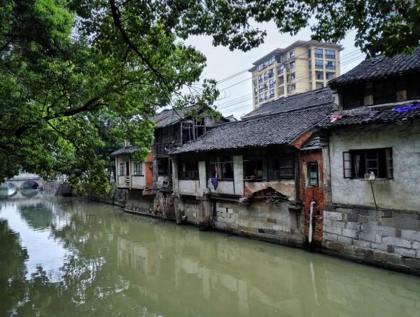 解救金刚鹦鹉