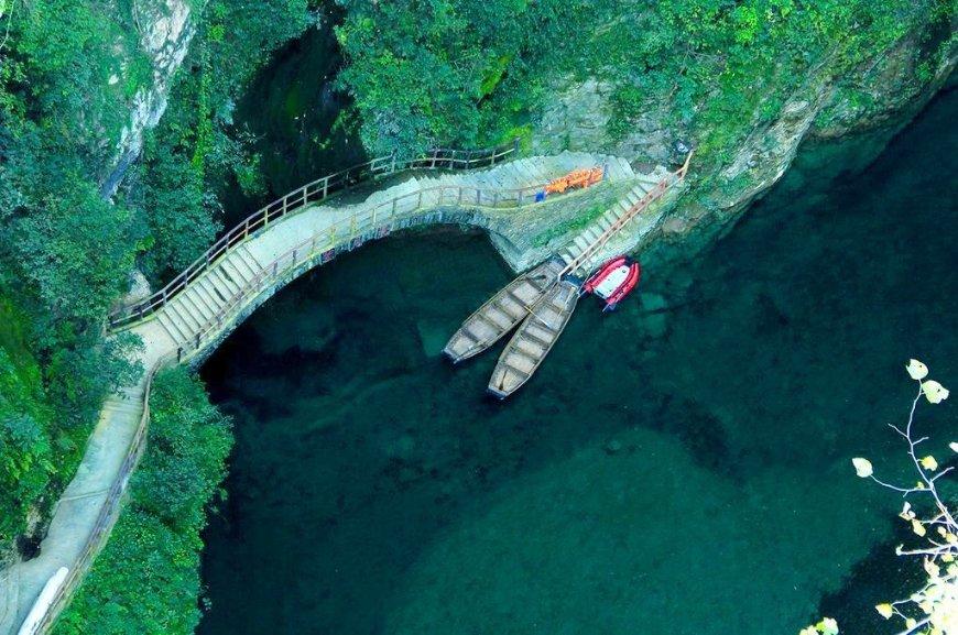 深度学习指导 | 你觉得男人和女人谁更需要婚姻?知识星球,掌握最新AI技术